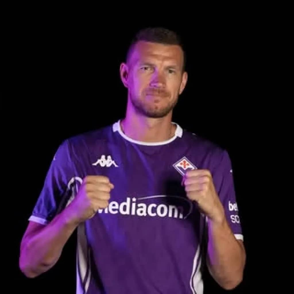 Edin Džeko