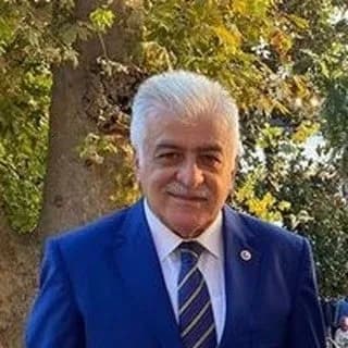 Şamil Ayrım (76 yaşında) - Profil fotoğrafı ve resmi görsel
