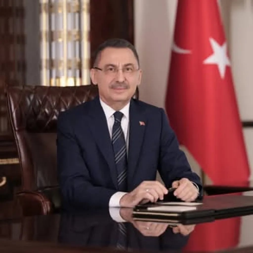 Fuat Oktay - Akademisyen (62 yaşında) - Profil fotoğrafı ve resmi görsel