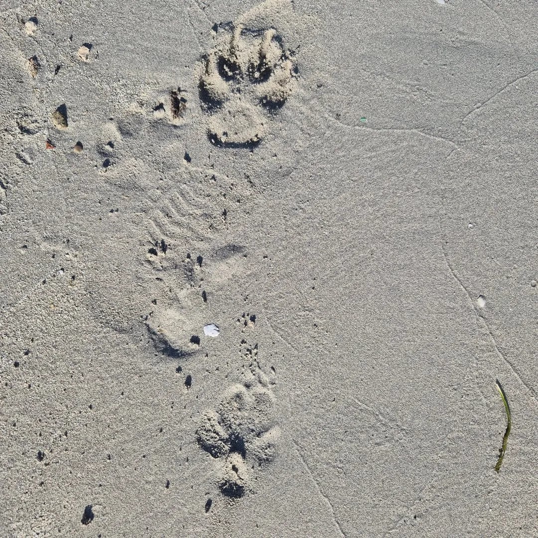 Göksun Çam - Schauspieler (44 alt.) - Profil fotoğrafı ve resmi görsel