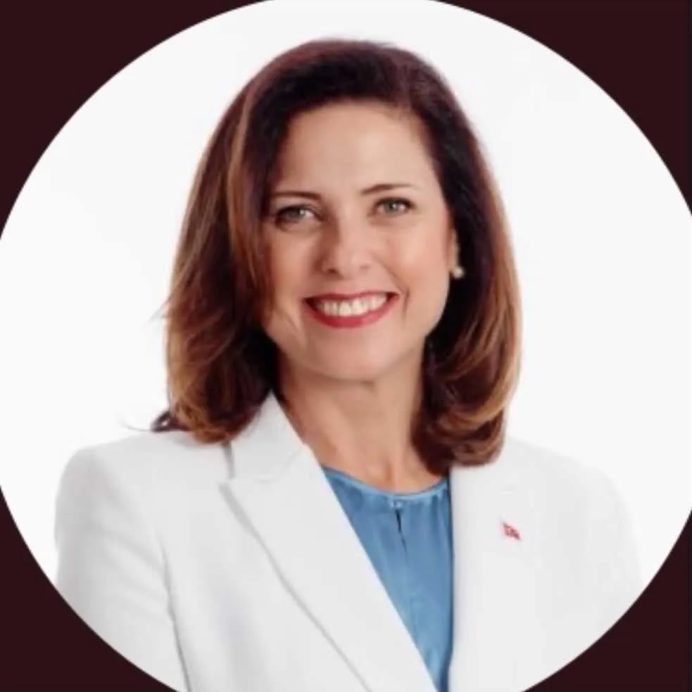 İlay Aksoy - Siyasetci (57 yaşında) - Profil fotoğrafı ve resmi görsel