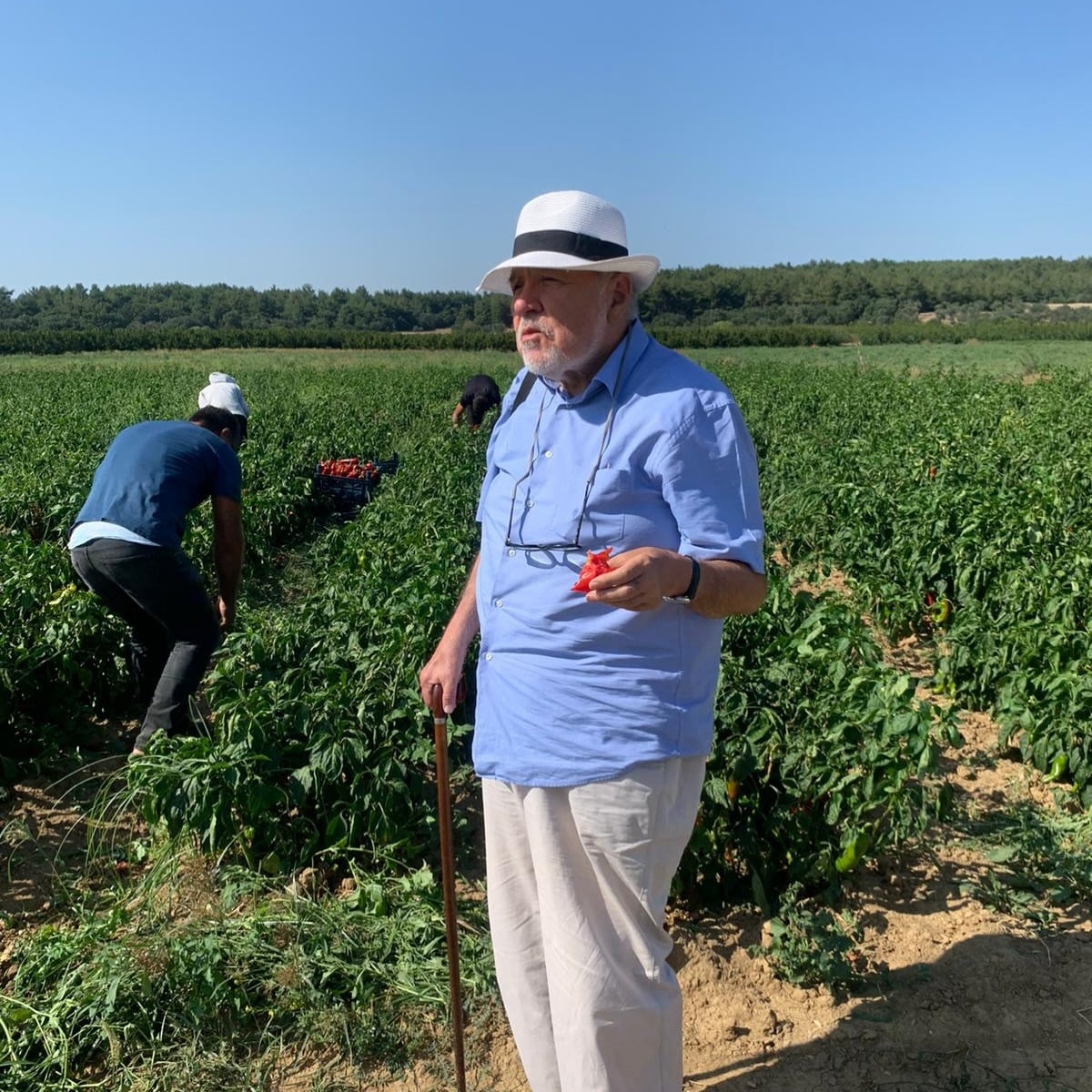 İlber Ortaylı - Yazar (79 yaşında) - günlük yaşam fotoğrafı
