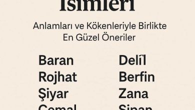 Kürtçe erkek isimleri
